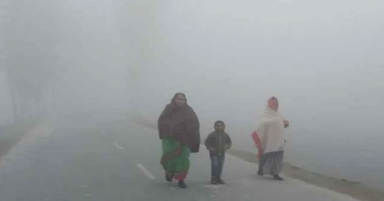 শৈত্যপ্রবাহ নিয়ে যে তথ্য জানা গেল