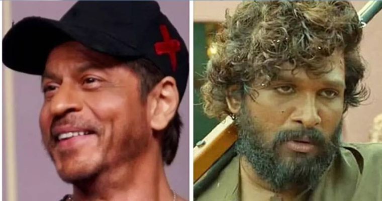 যে কারণে পুষ্পা হওয়ার প্রস্তাব ফিরিয়েছিলেন শাহরুখ