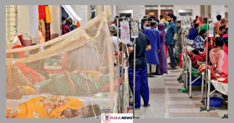 জানুয়ারিতে ডেঙ্গুতে প্রাণ গেল ১০ জনের