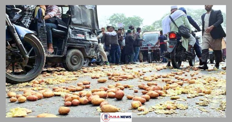 সড়কে আলু ফেলে চাষিদের বিক্ষোভ