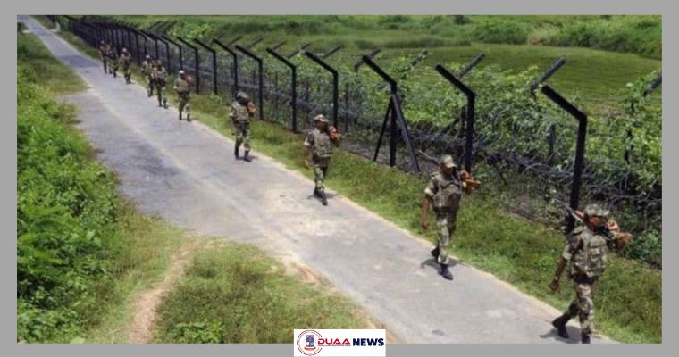 বিএসএফের পোশাক পরে গরু চোরাচালান, অতঃপর