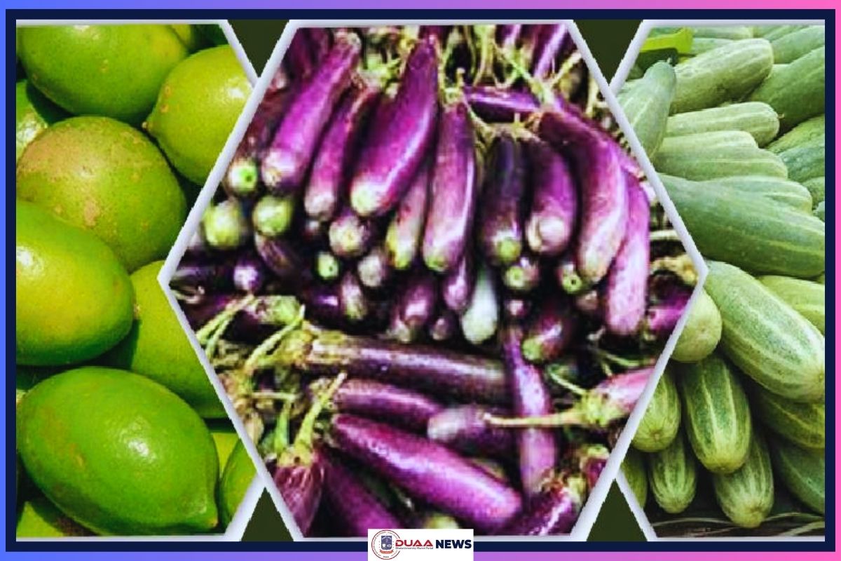 সপ্তাহের ব্যবধানে প্রায় দিগুণ লেবু-শশা-বেগুনের দাম