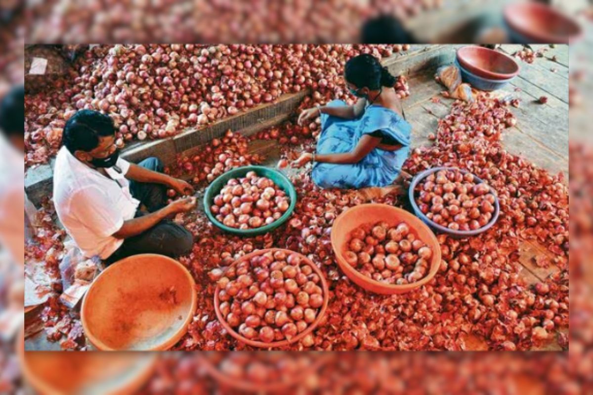 পেঁয়াজ রপ্তানিতে ২০ শতাংশ শুল্ক তুলে নিল ভারত