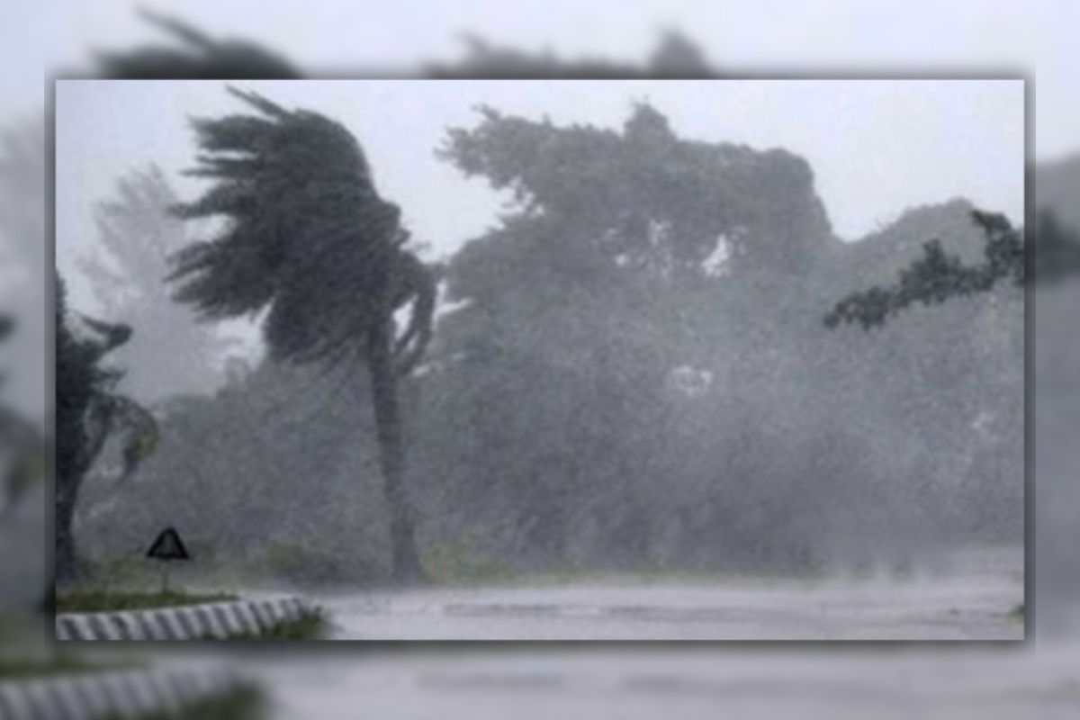 রাতের মধ্যেই ১১ অঞ্চলে ঝড়ের পূর্বাভাস