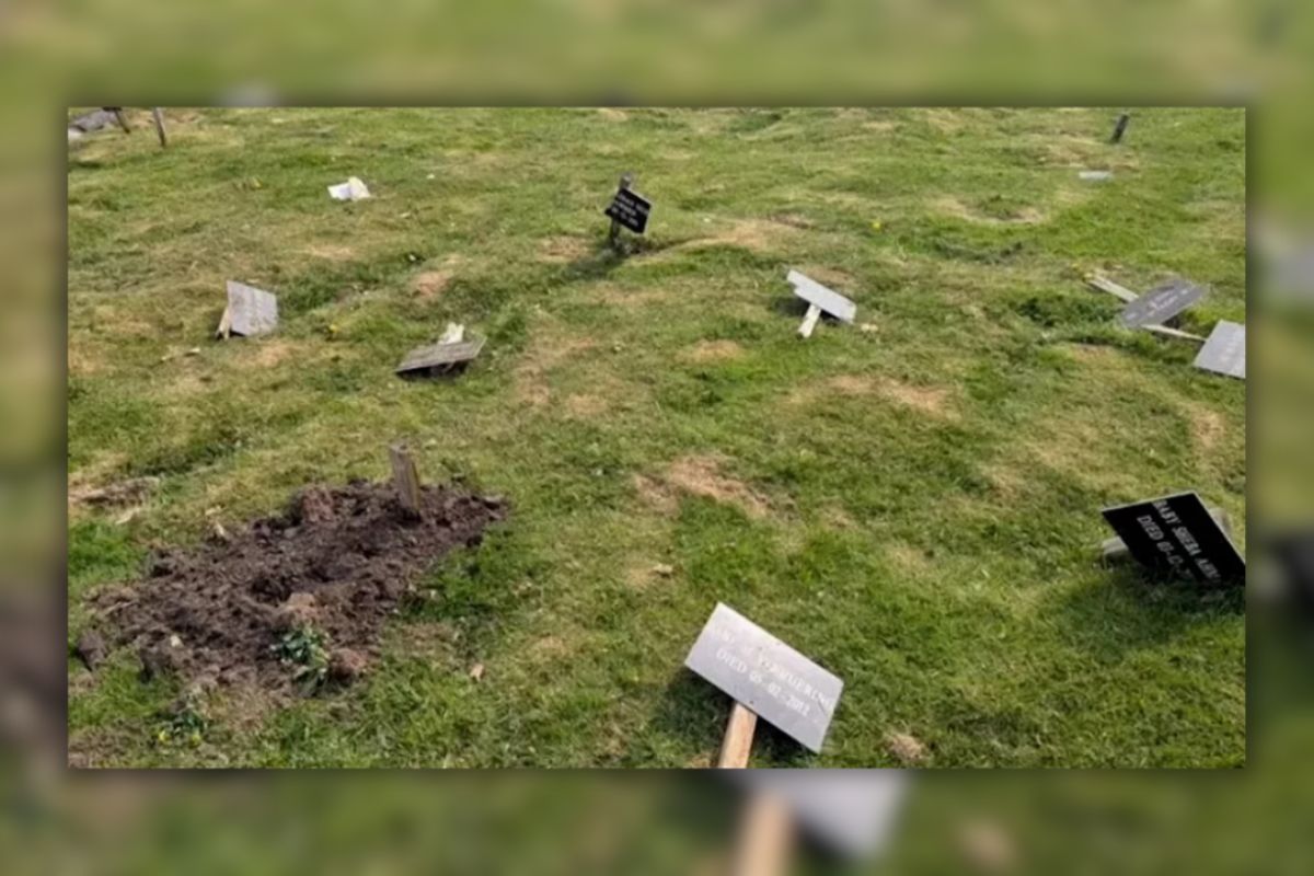 যুক্তরাজ্যে মুসলিমদের কবরস্থান ভাঙচুর, ক্ষতিগ্রস্ত ৮৫টি কবর