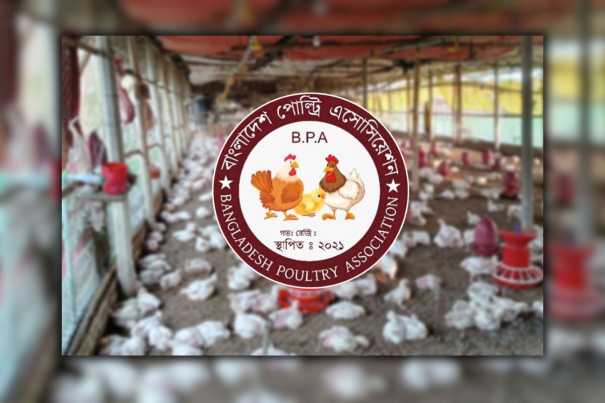 ডিম-মুরগির খামার বন্ধ ঘোষণা দেশজুড়ে