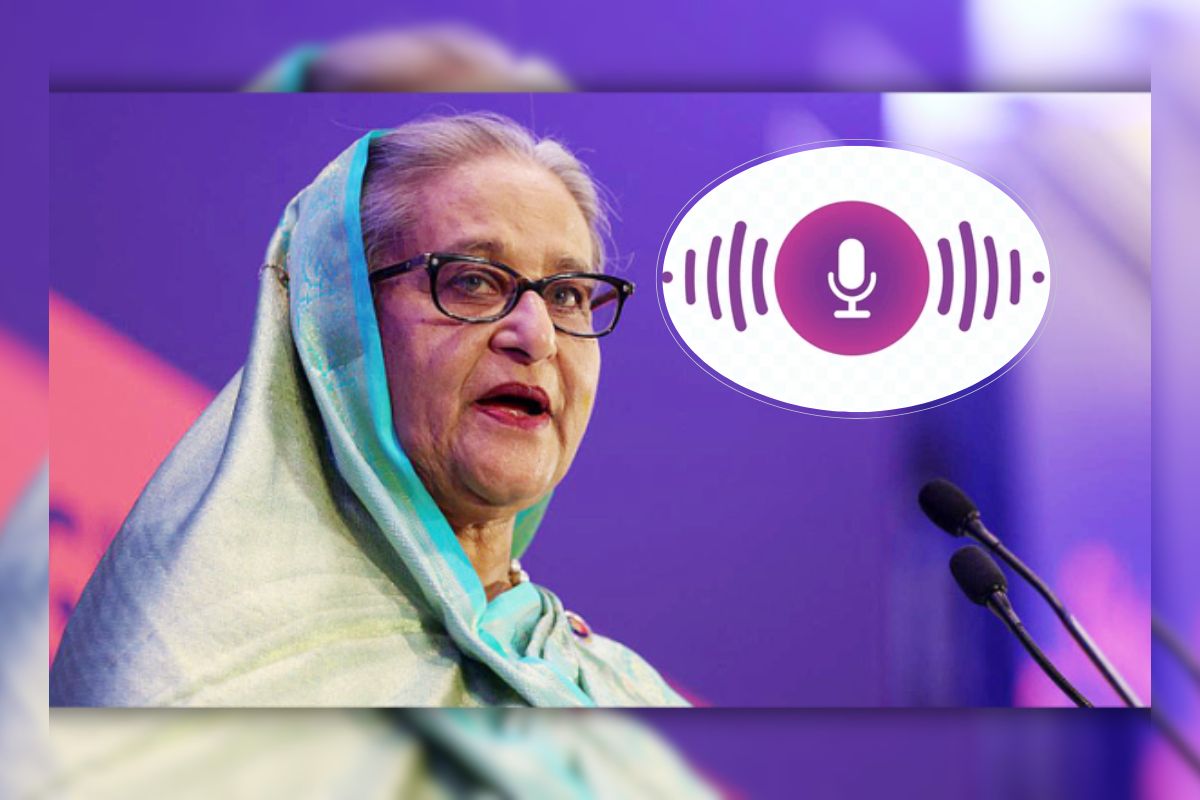 ‘২২৭ জনকে হ-ত্যার লাইসেন্স পেয়েছি’ বক্তব্যটি শেখ হাসিনার: তদন্ত সংস্থা