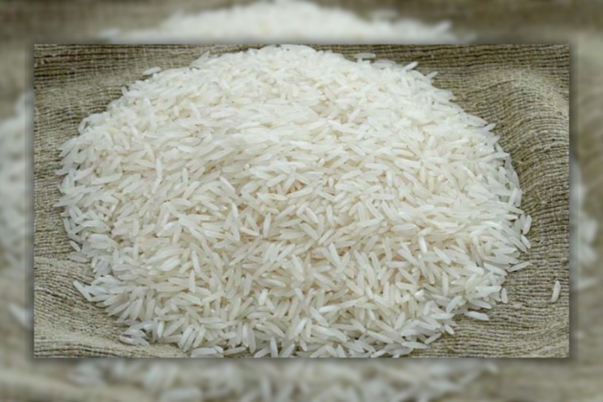 কমেছে চালের দাম