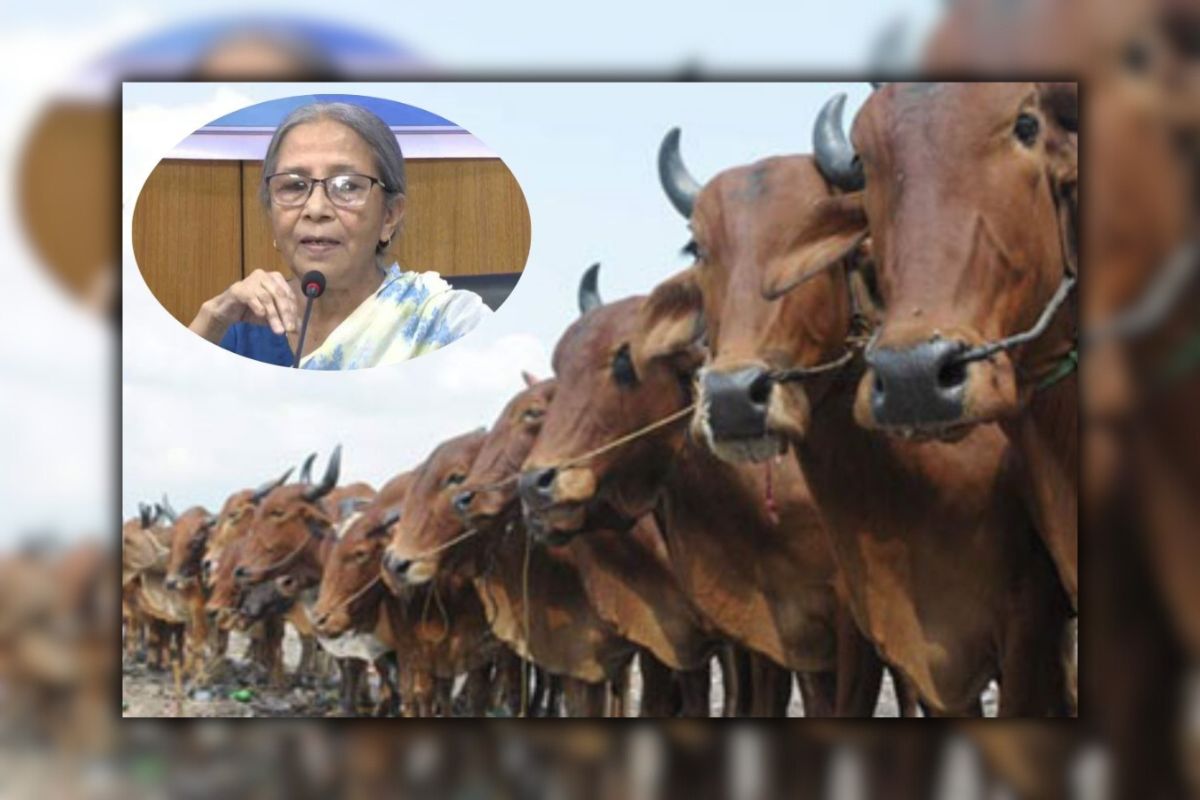 ‘এবার কোরবানির জন্য পশু আমদানি করা হবে না’