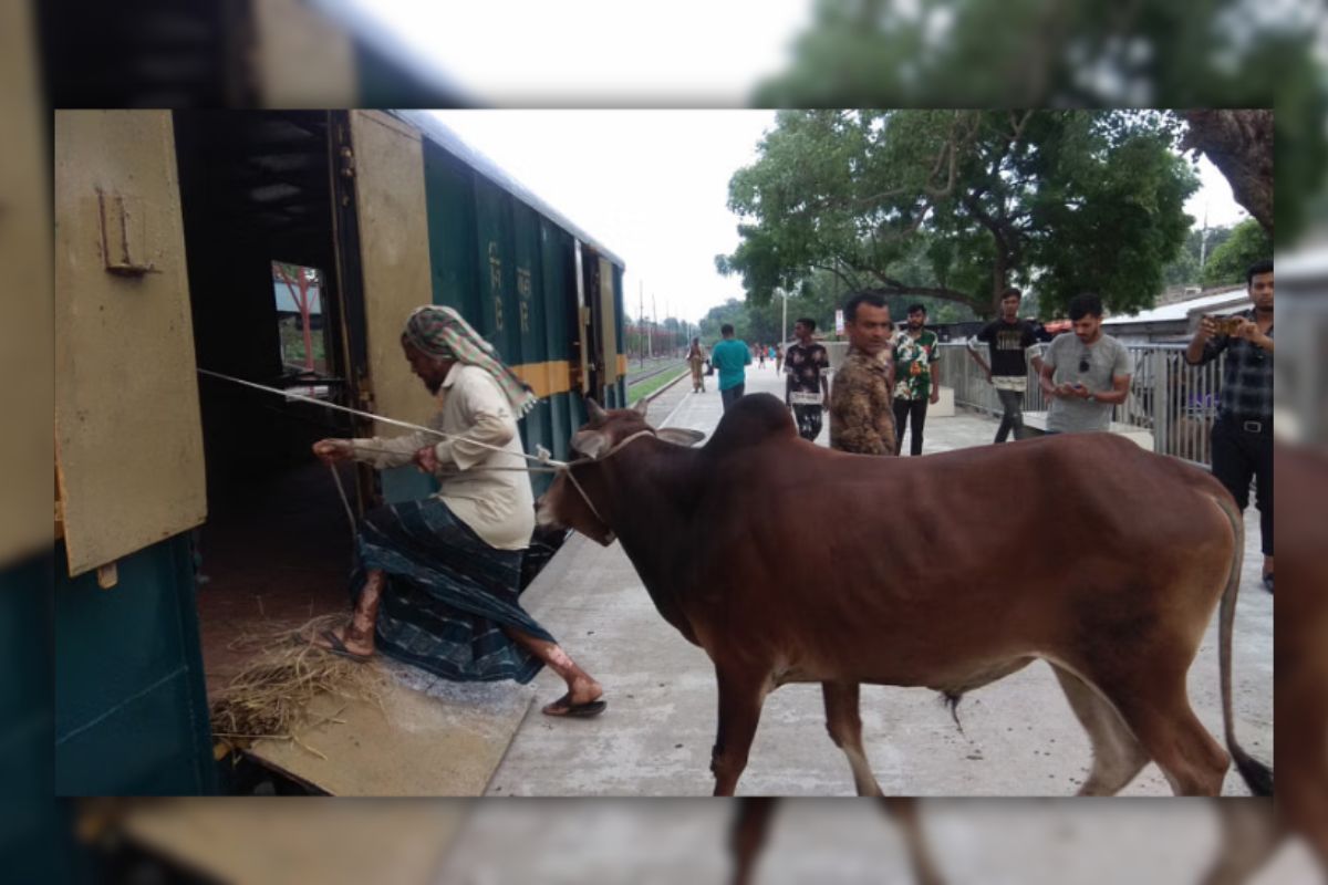 ঈদে পশু পরিবহনে চলবে ৩ স্পেশাল ট্রেন