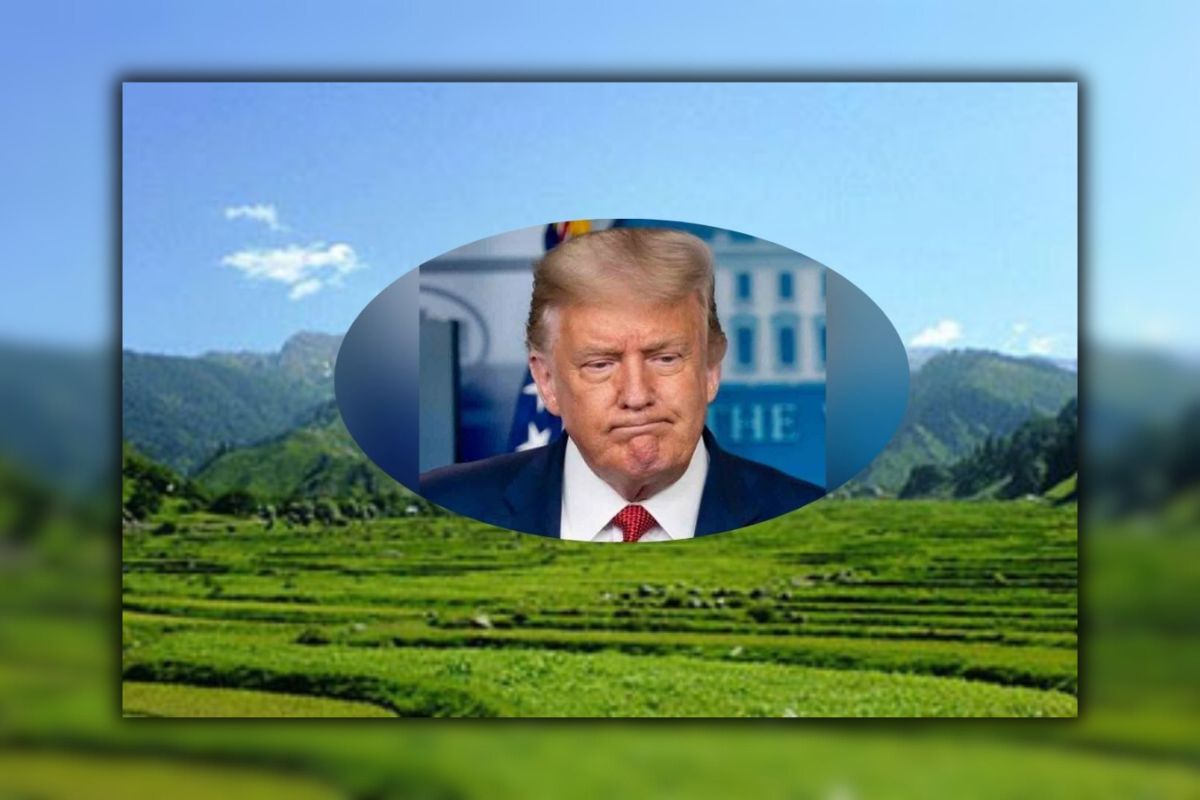 বিশ্বাস করতে কষ্ট হবে তবে পাকিস্তানিরা আসলেই মেধাবী : ট্রাম্প