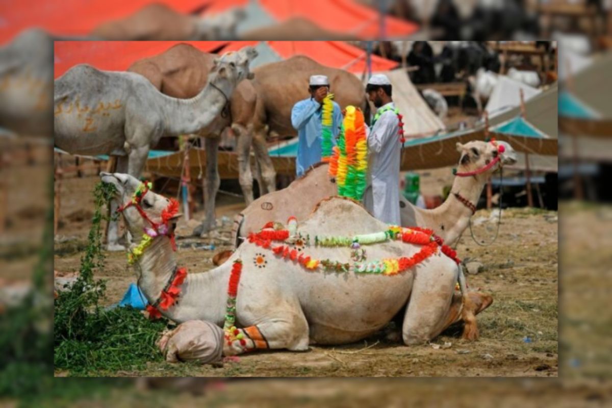ঈদুল আজহার সম্ভাব তারিখ