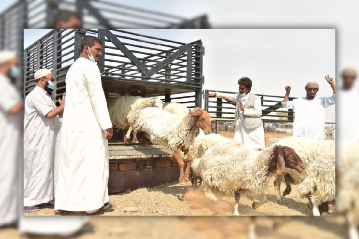 ঈদুল আজহার সম্ভাব্য তারিখ জানাল মধ্যপ্রাচ্যের দেশ