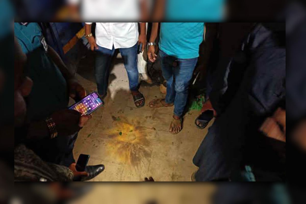রাজধানীর বৃক্ষমেলায় ক’কটেল বি-স্ফো-রণ