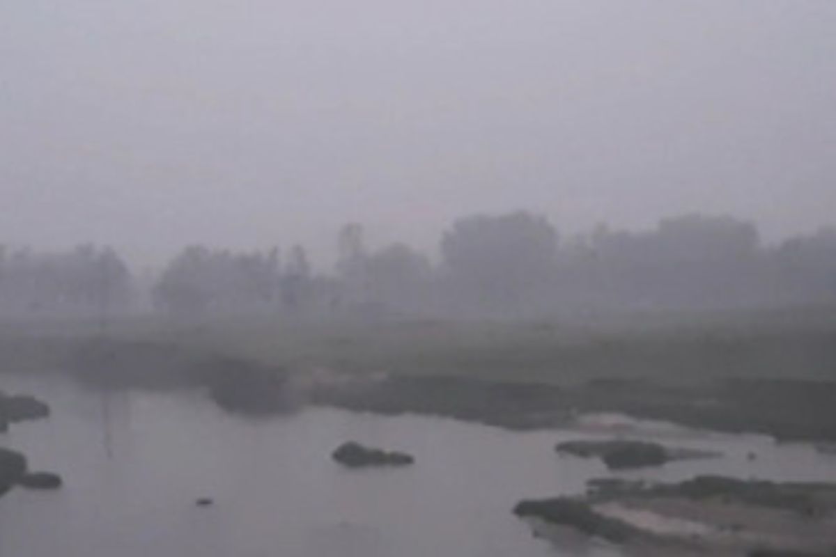 গ্রীষ্মের খরতাপে হঠাৎ কুয়াশায় ঢাকল পঞ্চগড়
