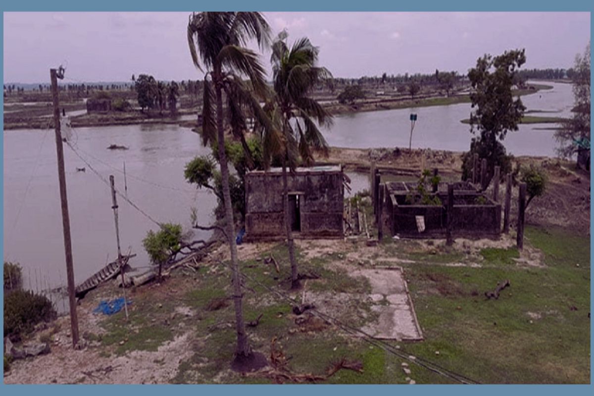ড. ইউনূসের ফাউন্ডেশনের ঘেরে ডাকাতি, কর্মচারীদের মারধর