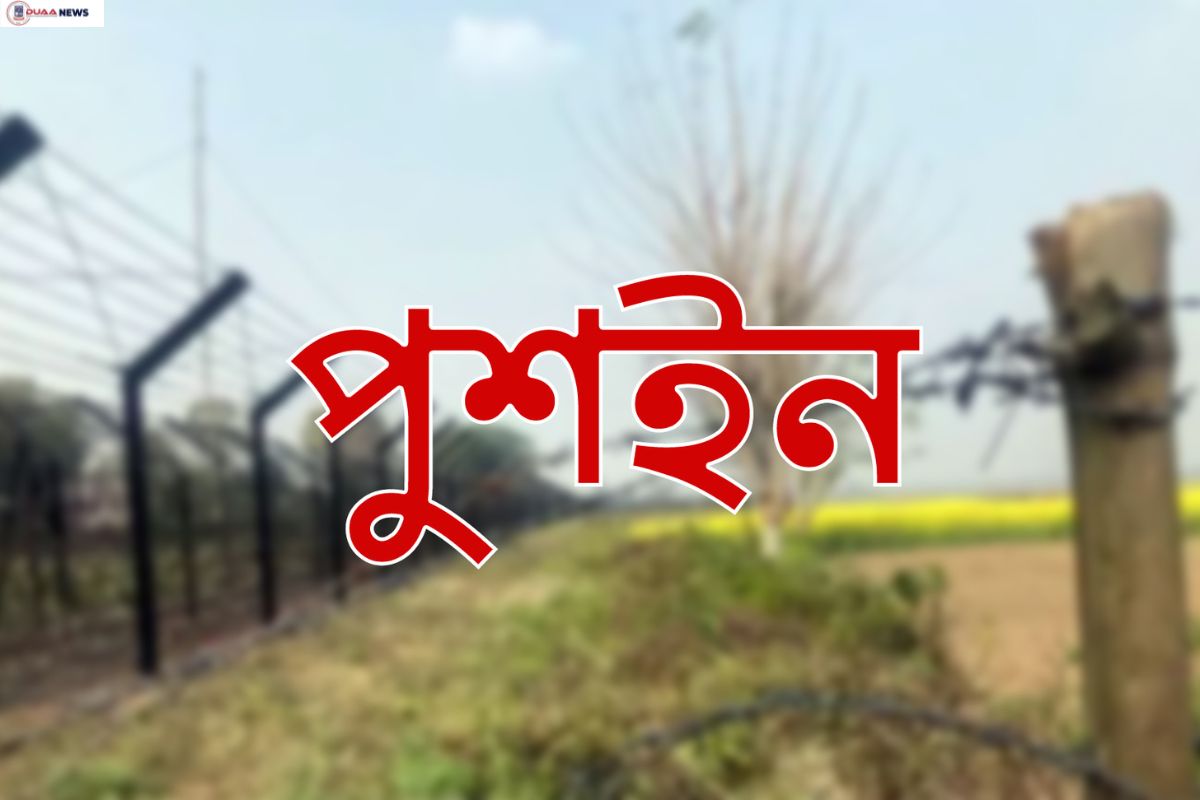 সীমান্তে বিএসএফের আবারো পুশইন
