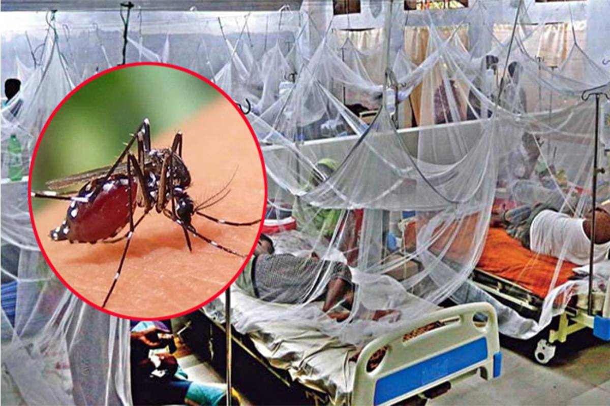 ২৪ ঘণ্টায় ডেঙ্গুতে মৃত্যু ১, হাসপাতালে ভর্তি ১৬৯