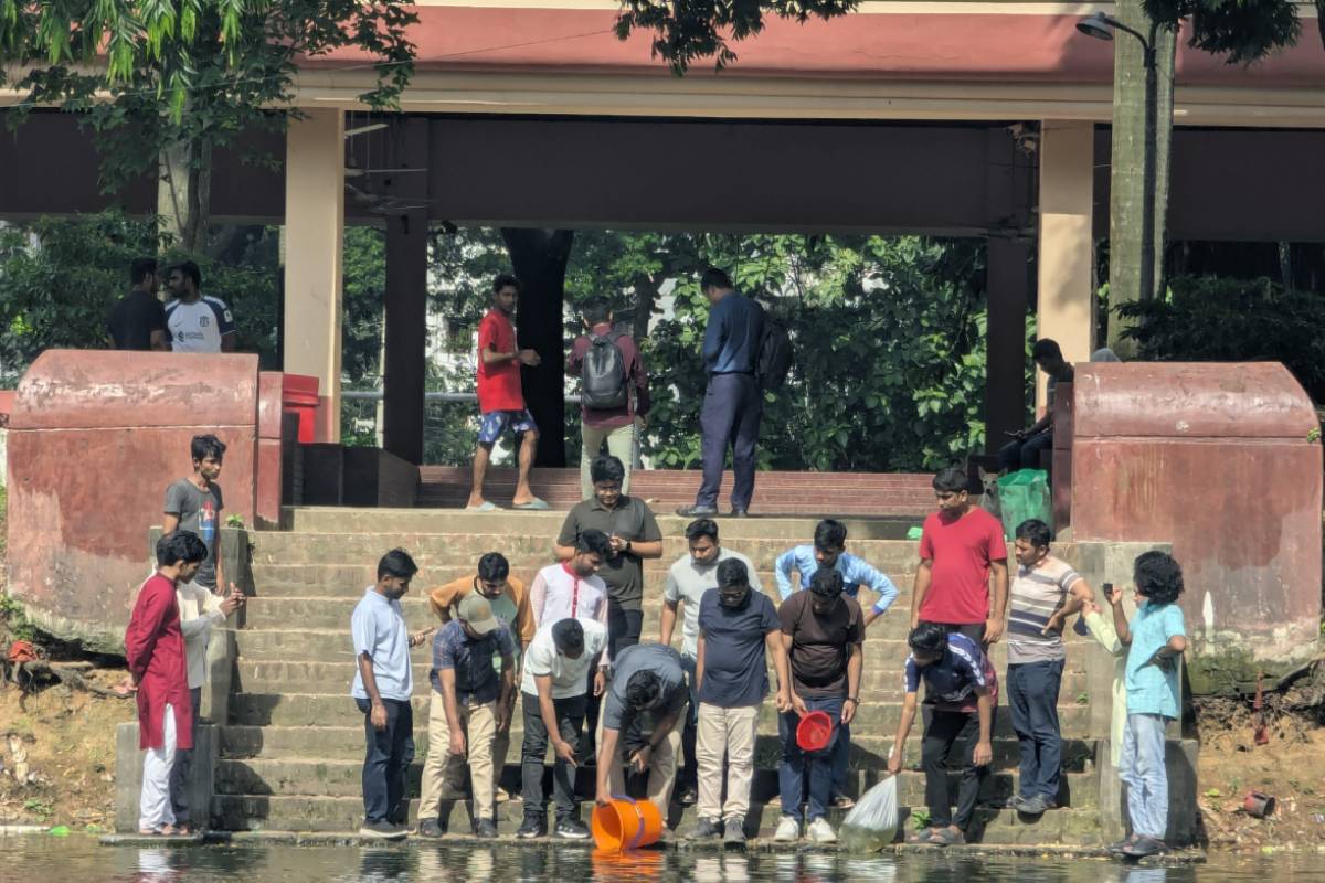 ঢাবির পুকুরে মাছের পোনা অবমুক্ত করলেন ছাত্রদল নেতা