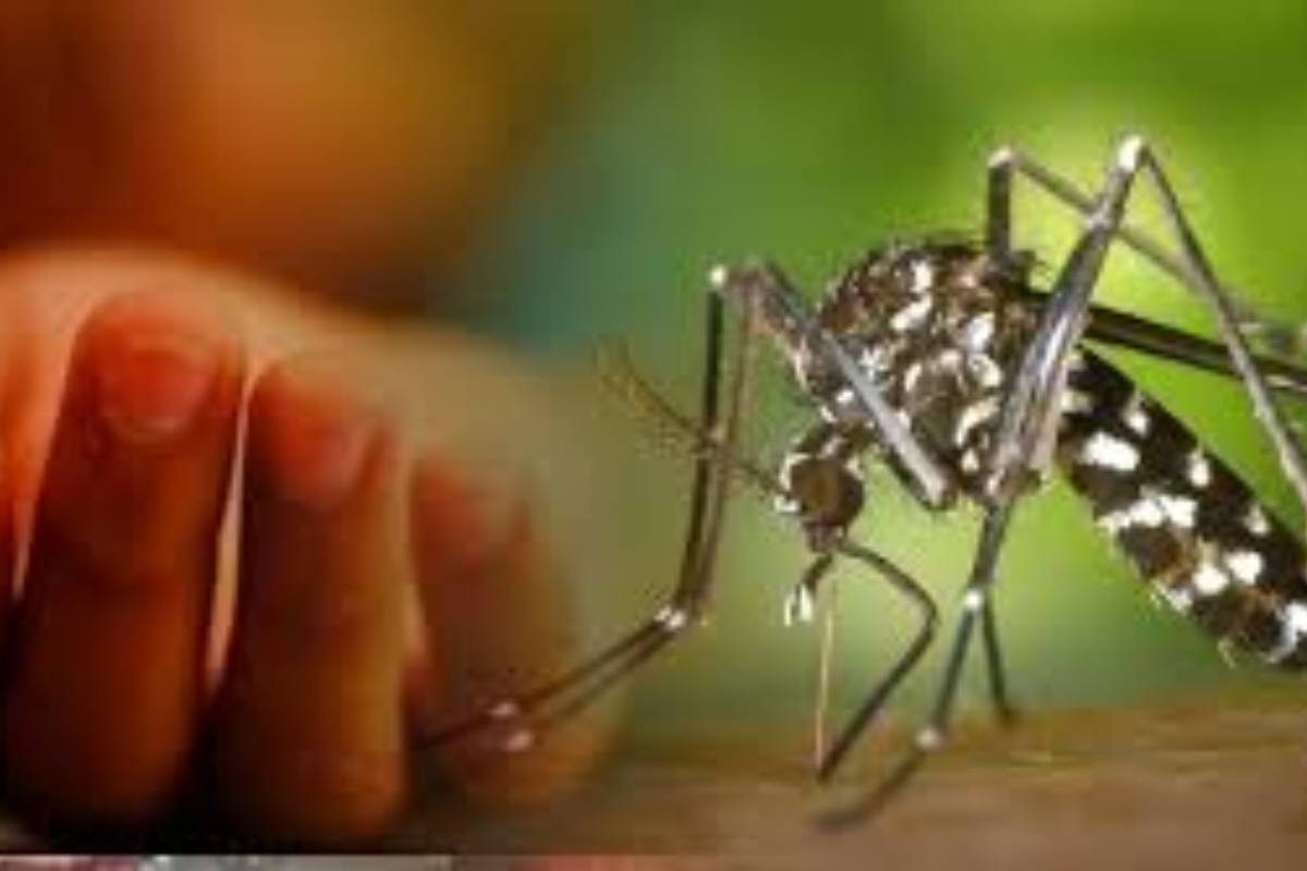 ডেঙ্গুতে একজনের মৃত্যু, হাসপাতালে ৪১৬