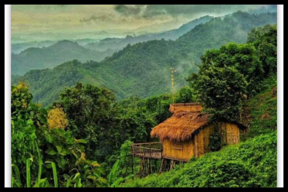 লামার ৭৫ রিসোর্ট বন্ধ ঘোষণা