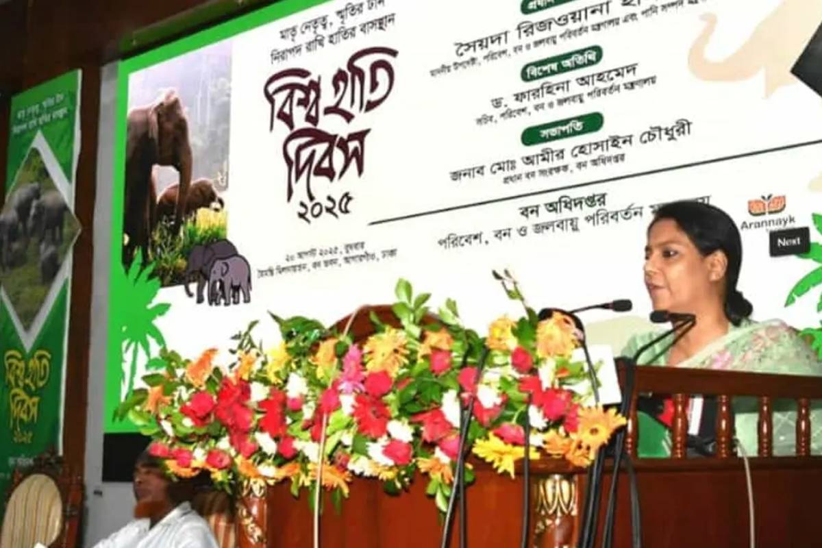 হাতি রক্ষায় বিশেষ প্রকল্প নিচ্ছে পরিবেশ মন্ত্রণালয়