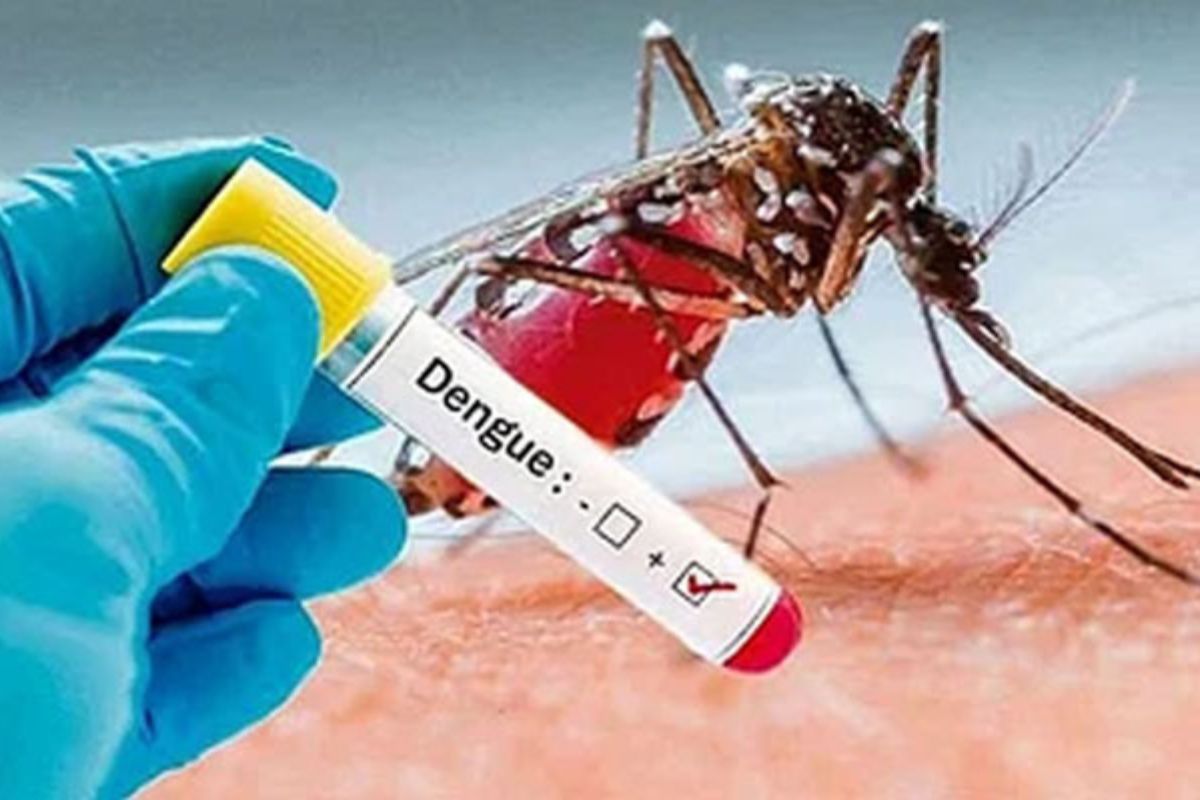 ডেঙ্গুর ভয়াবহতা: একদিনে বছরের সর্বোচ্চ প্রাণহানি