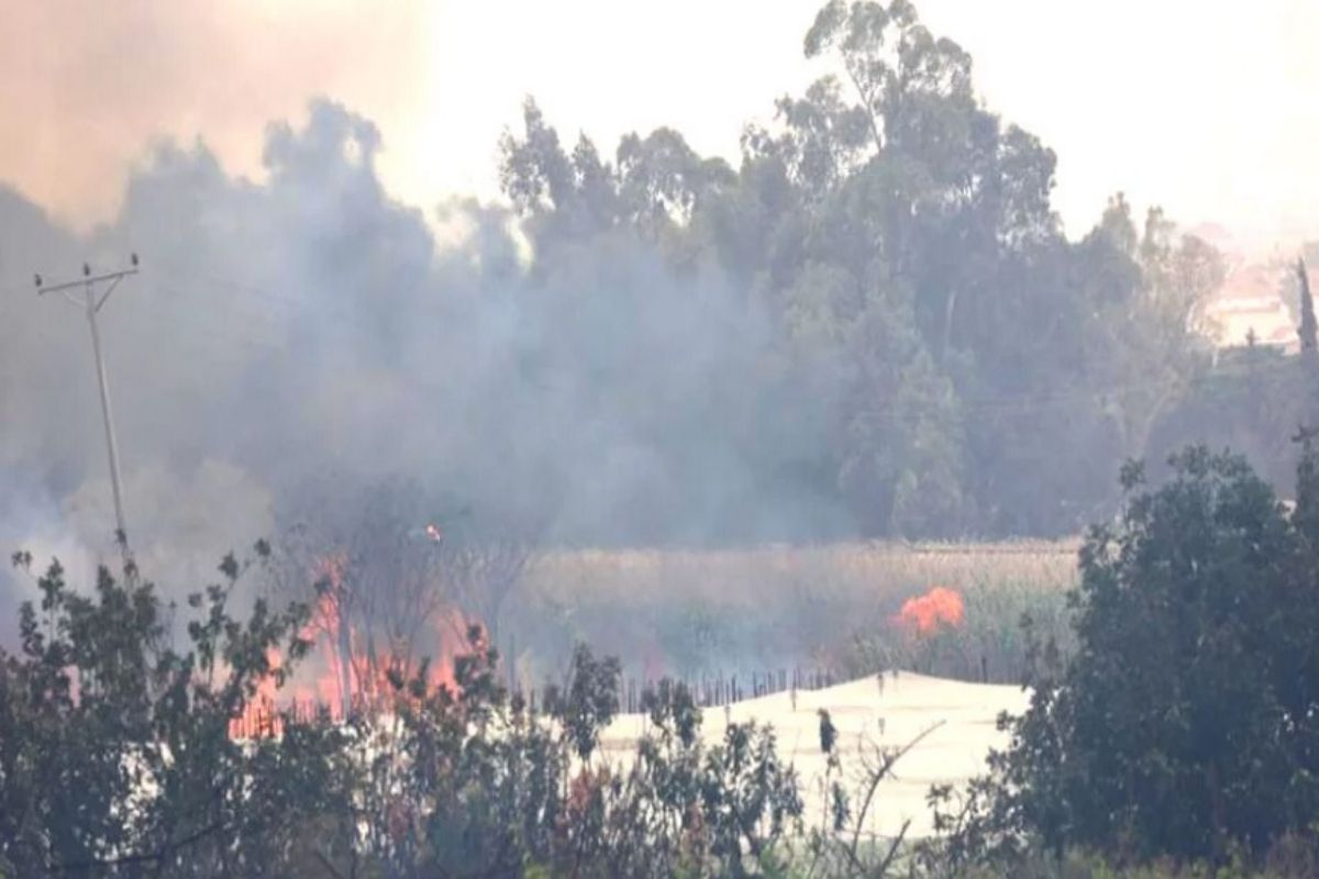 আরব বিশ্বের পাঁচ দেশে ভয়াবহ দাবানল