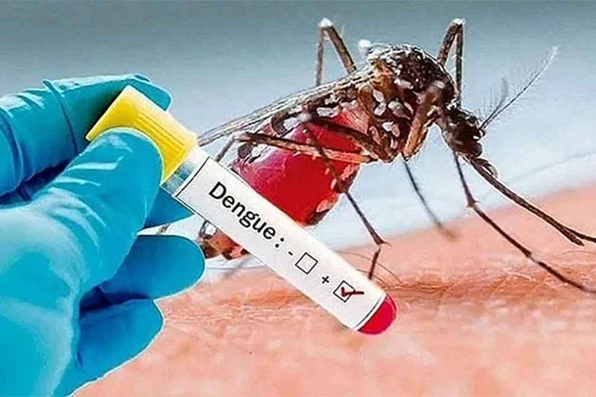থামছে না ডেঙ্গুর প্রকোপ, একদিনে ঝরলো আরও ৪ প্রাণ