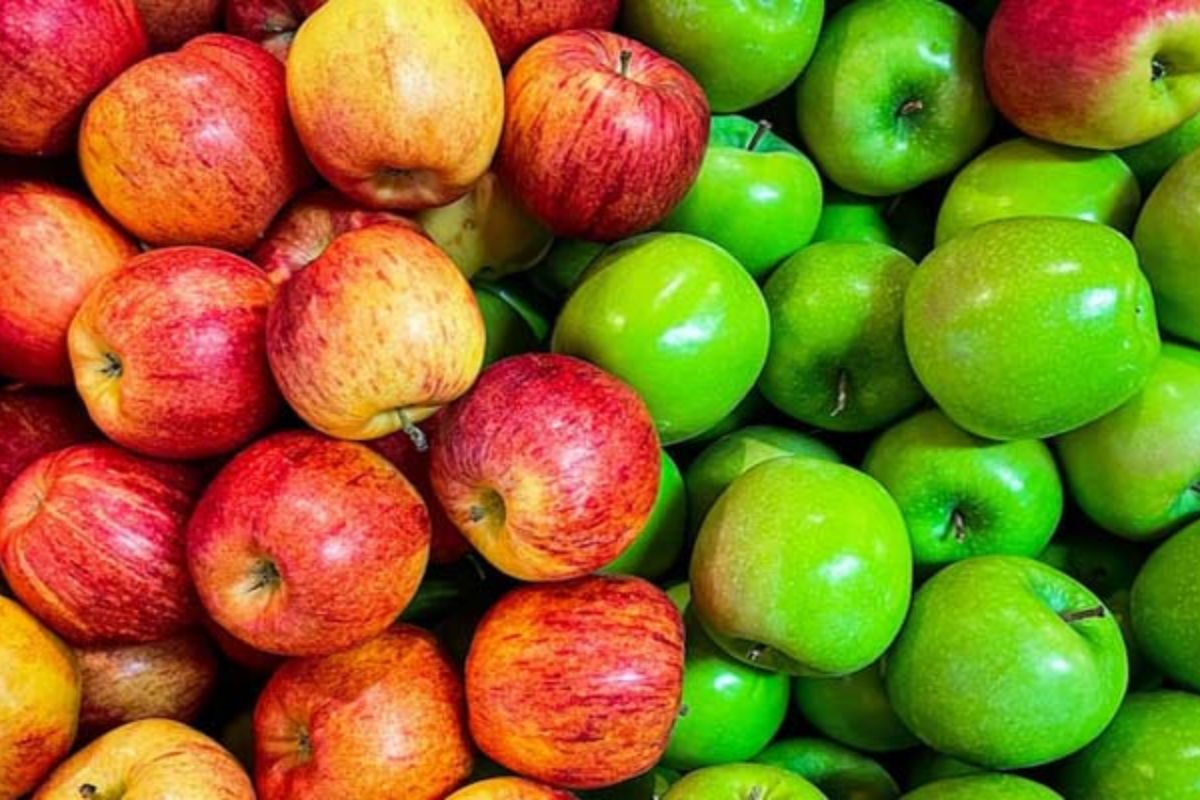 লাল নাকি সবুজ—কোন আপেল বেশি উপকারী?