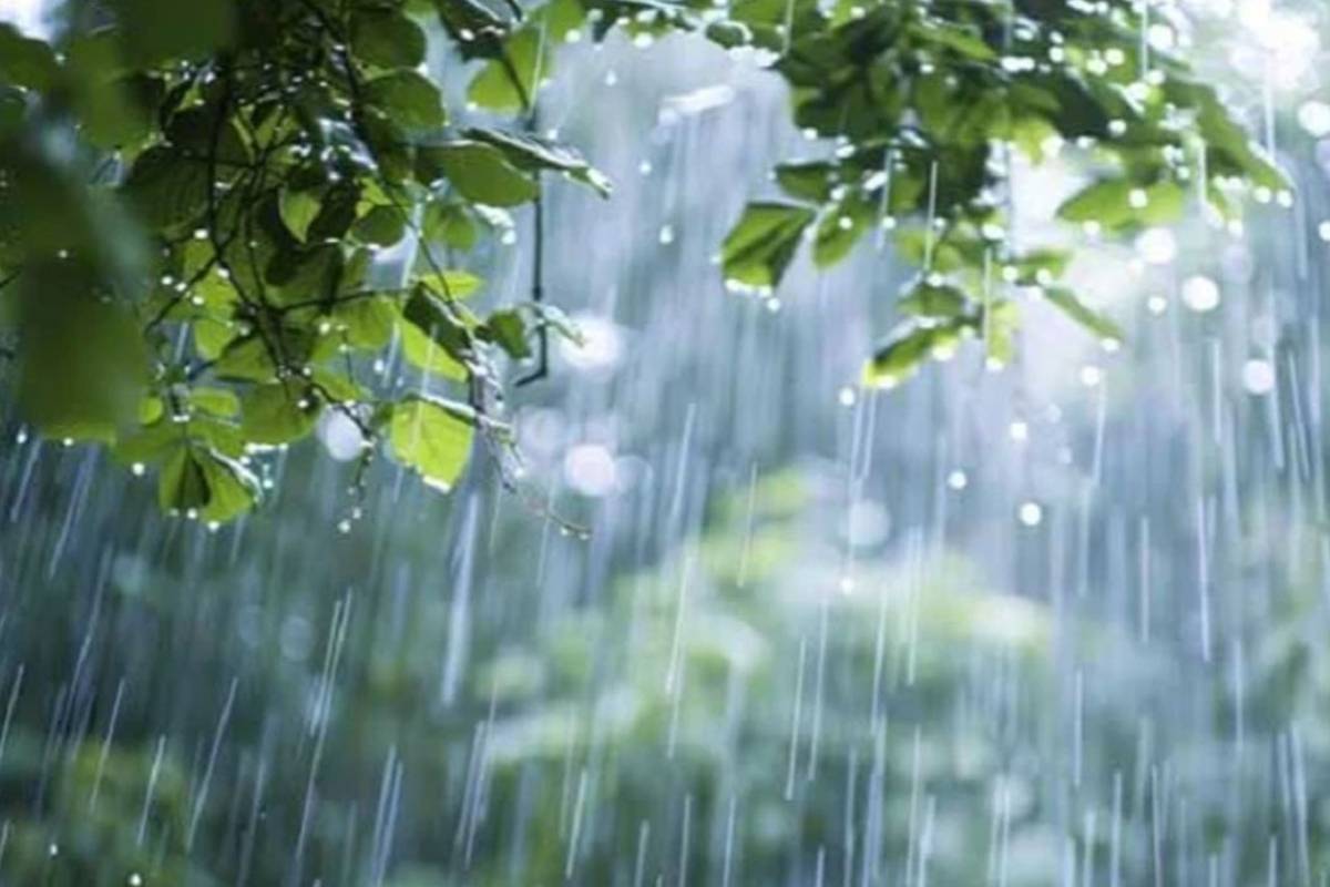 আজ বৃষ্টিতে ভিজতে পারে রাজধানীসহ বিভিন্ন অঞ্চল
