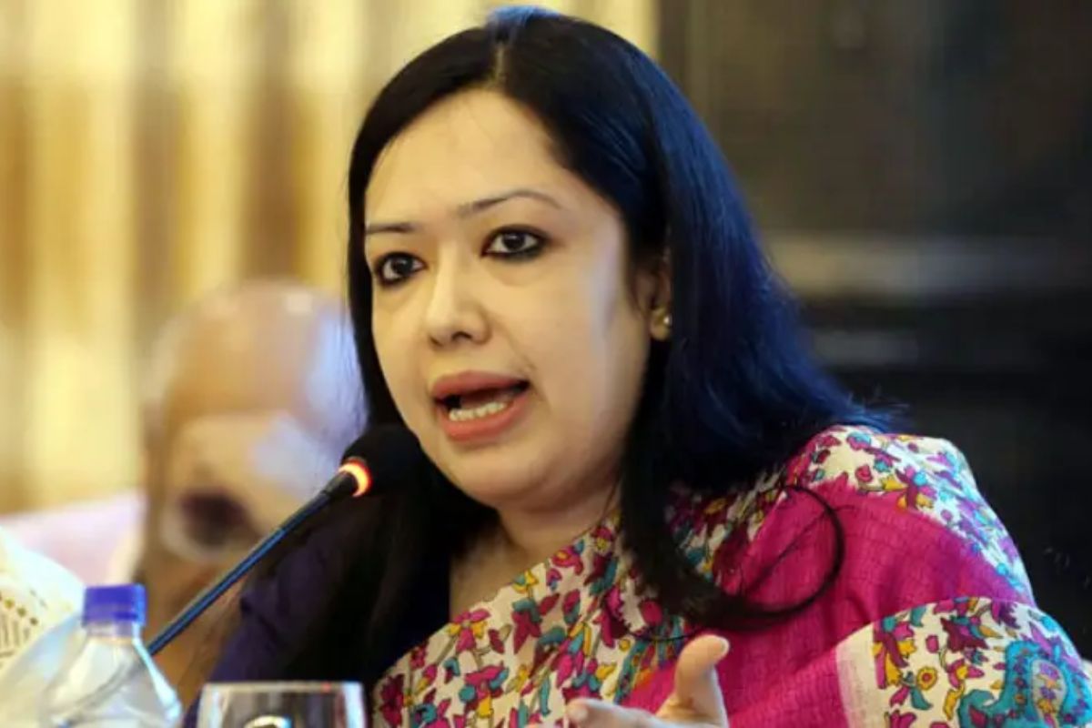 বিএনপি এখনো কোনো জোট নিশ্চিত করেনি: রুমিন