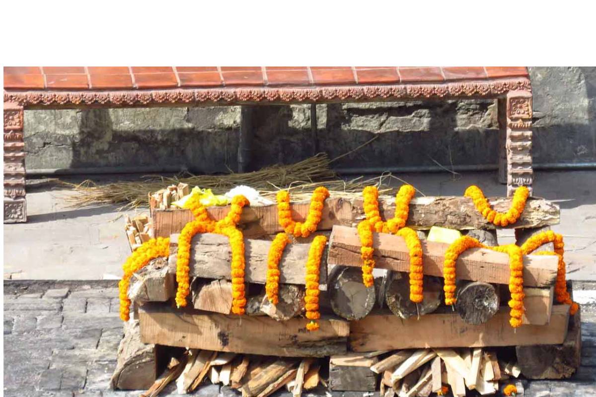 শেষ মুহূর্তের বিস্ময়, শ্মশানেই প্রাণের জয়