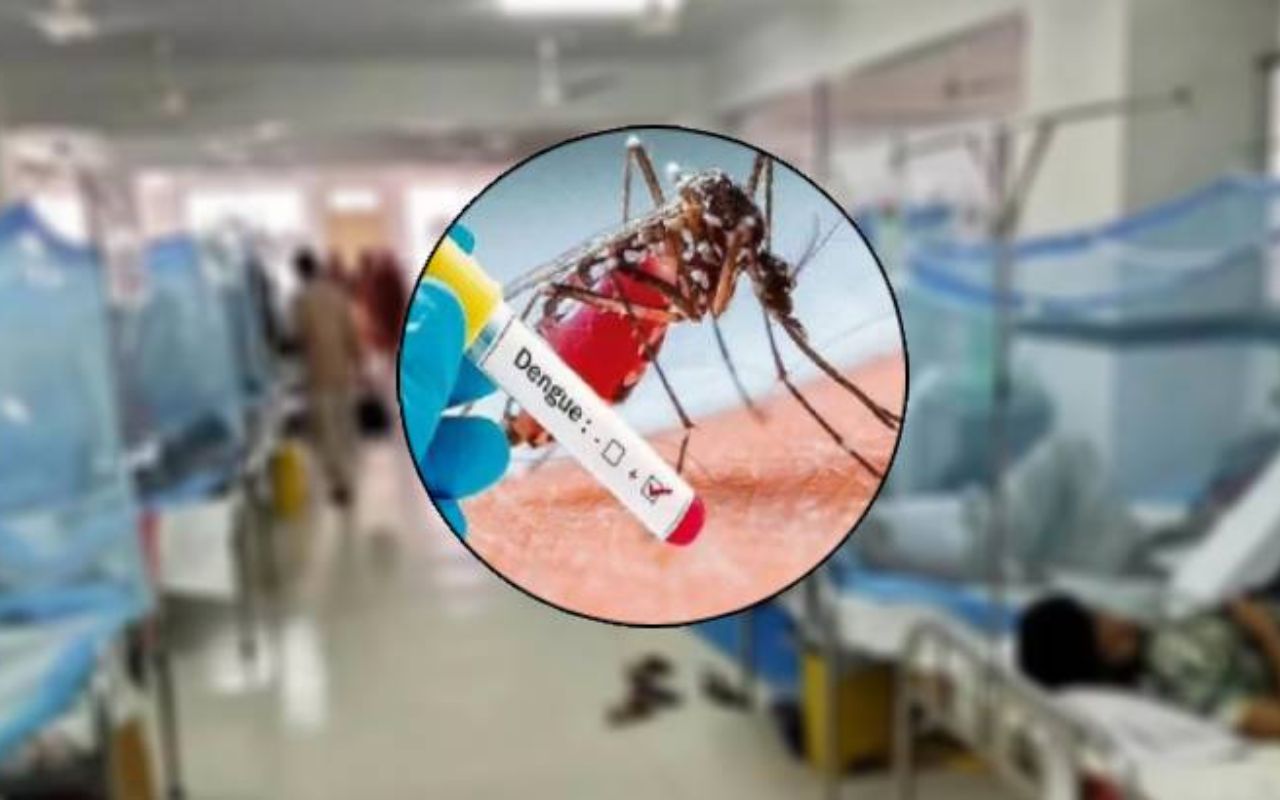 ডেঙ্গুতে ২৪ ঘণ্টায় ছয় মৃ'ত্যু 