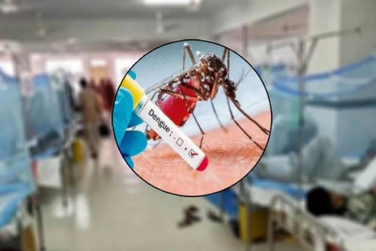 ভয়াবহ আকার ধারণ করছে ডেঙ্গু, ২৪ ঘণ্টায় মৃ-ত্যু ৪