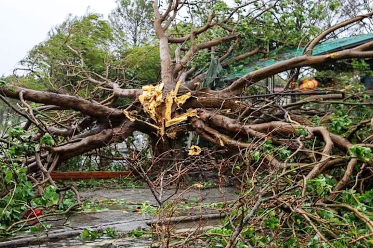 টাইফুনের আঘাতে নি-হ-ত ১৯, নিখোঁজ ২১