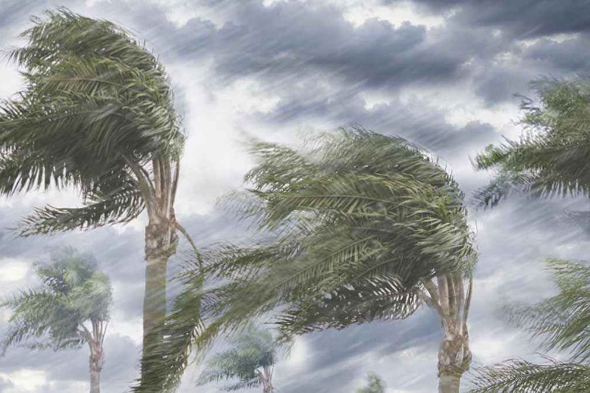 রাতের মধ্যে যেসব অঞ্চলে ঝড়ের আভাস