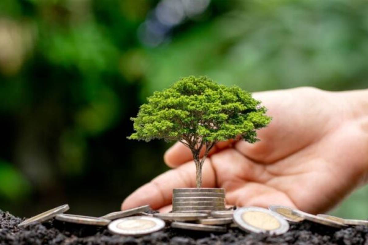 দান সম্পদের বৃদ্ধি ও আল্লাহর দয়ার চাবিকাঠি