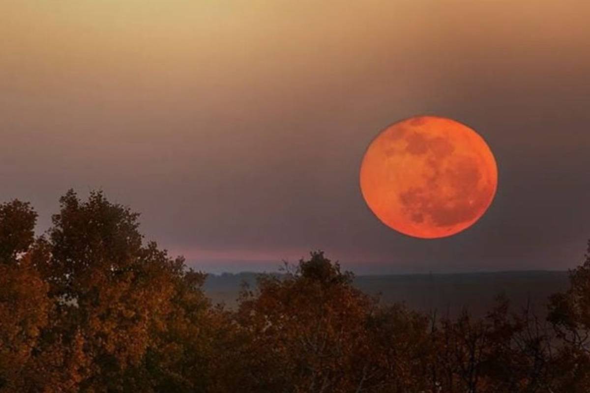 বাংলাদেশে ৭ অক্টোবর প্রথম সুপারমুন দেখা যাবে