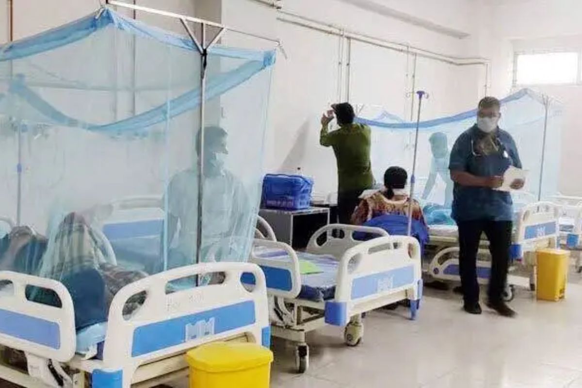 ডেঙ্গুতে আক্রান্ত ৫০ হাজার ছাড়ালো, ম'ত্যু ২১৫