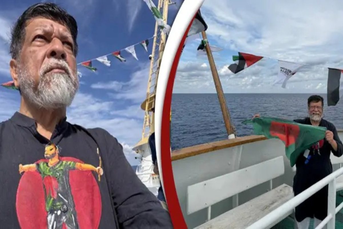 ইসরায়েলি বাহিনীর হাতে আটক শহিদুল আলম