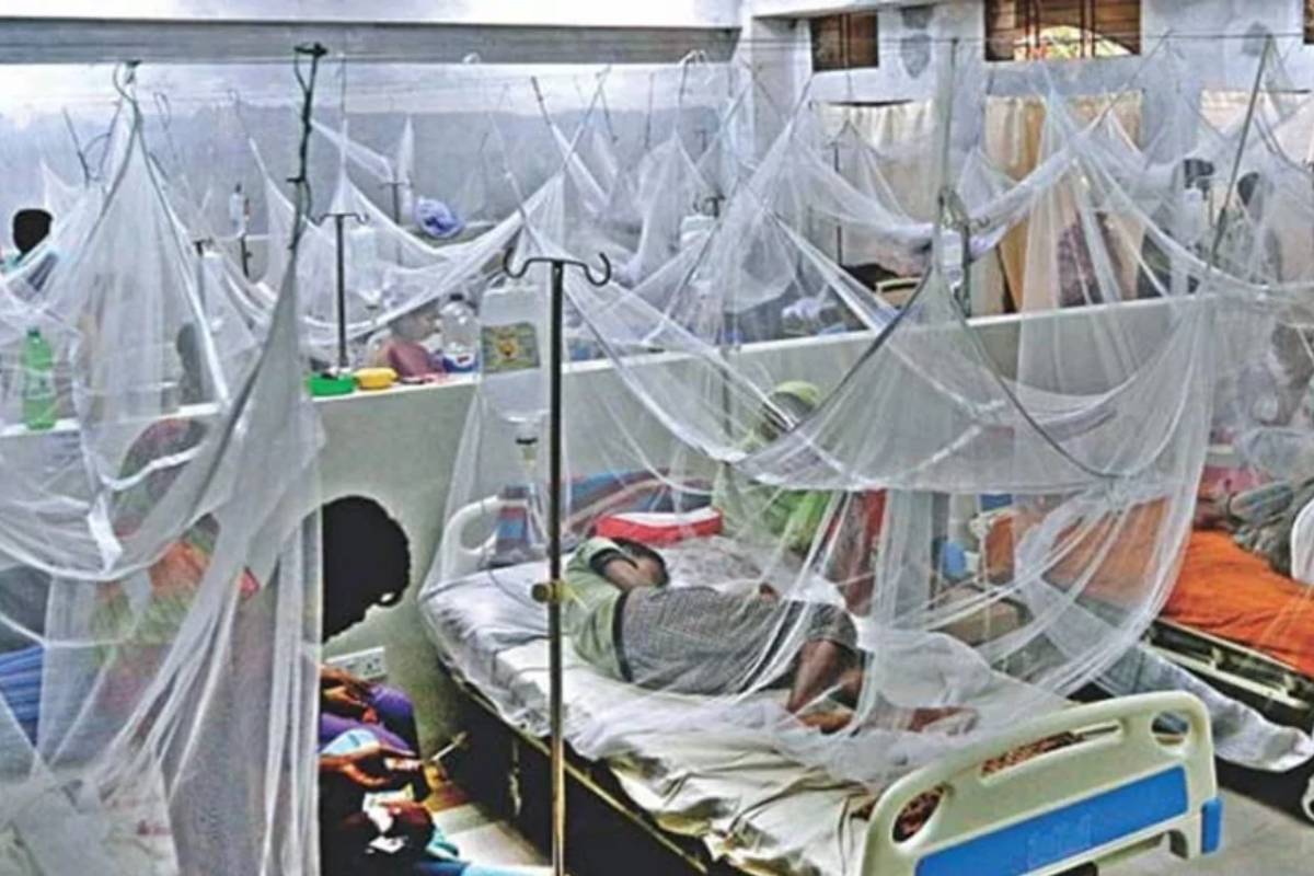 ২৪ ঘণ্টায় রাজধানীসহ দেশে ডেঙ্গু হাসপাতালে ভর্তি ৩০৮