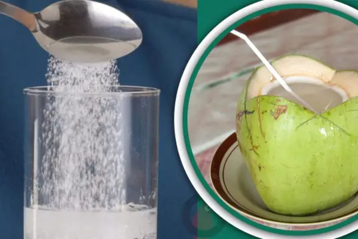 ডাবের পানি না স্যালাইন-কখন কোনটি খাবেন?