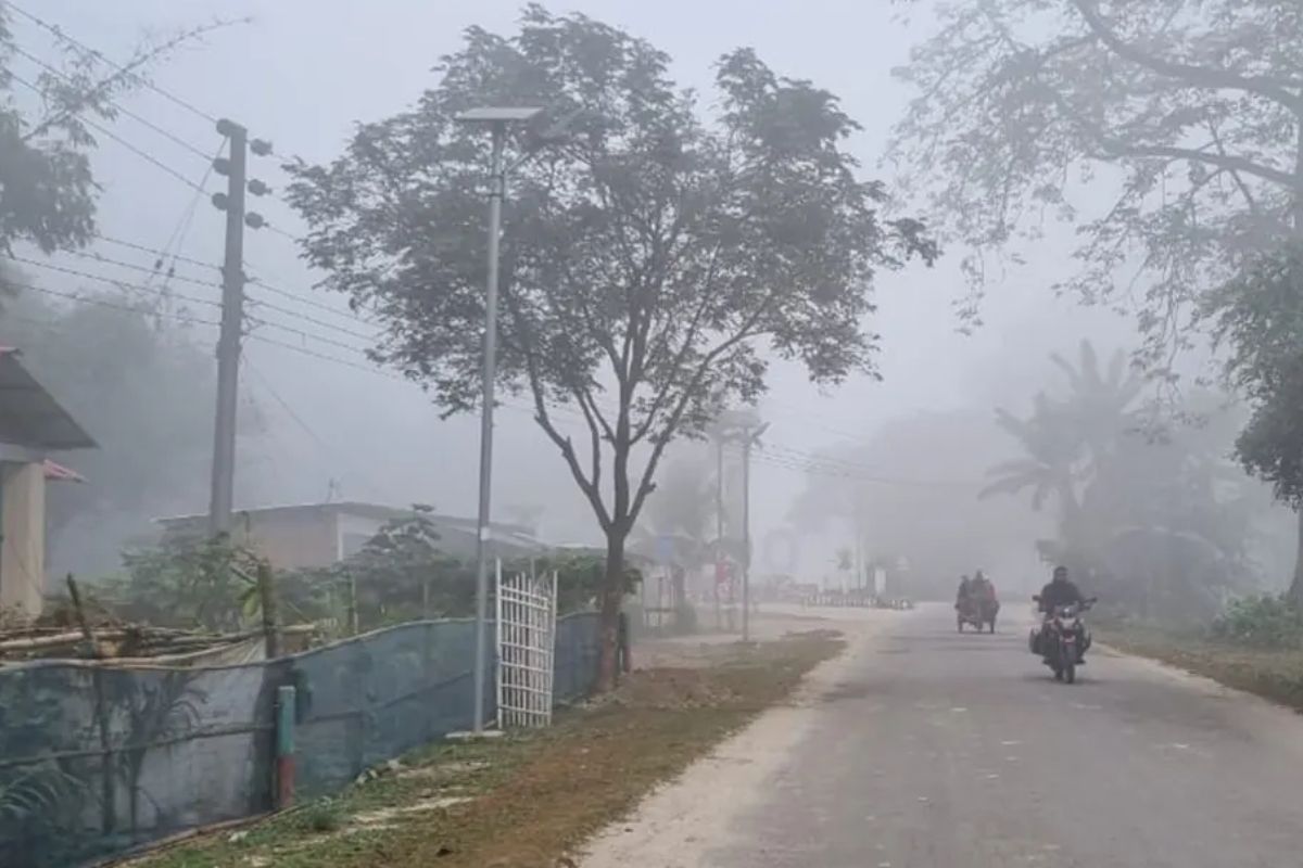 পঞ্চগড়ে কুয়াশার চাদরে শীতের আগমনবার্তা