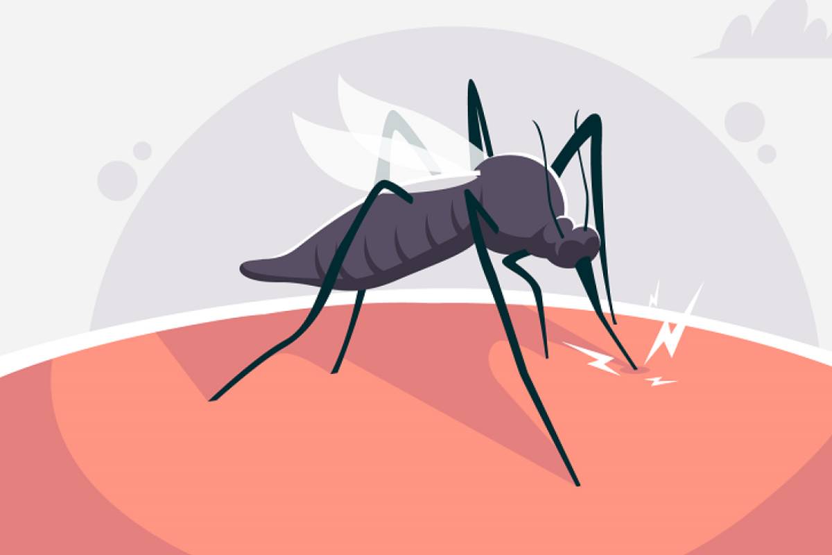 ২৪ ঘণ্টায় ডেঙ্গুতে আরও ৩ মৃত্যু, নতুন আক্রান্ত ৯২৮