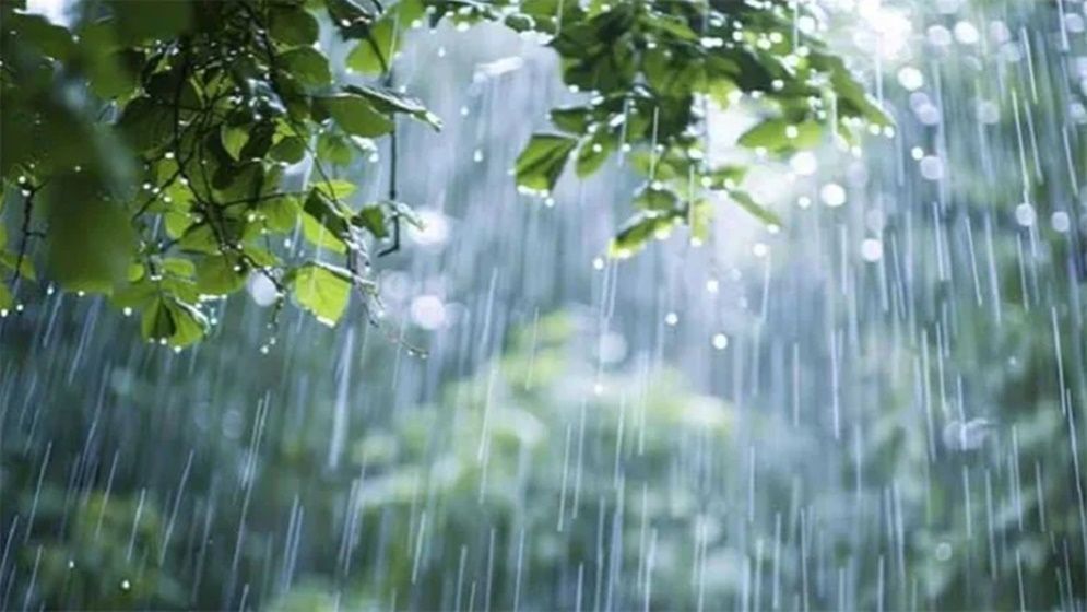 আসছে বজ্রসহ ঝড়, নোয়াখালী থেকে কক্সবাজার পর্যন্ত সতর্কবার্তা