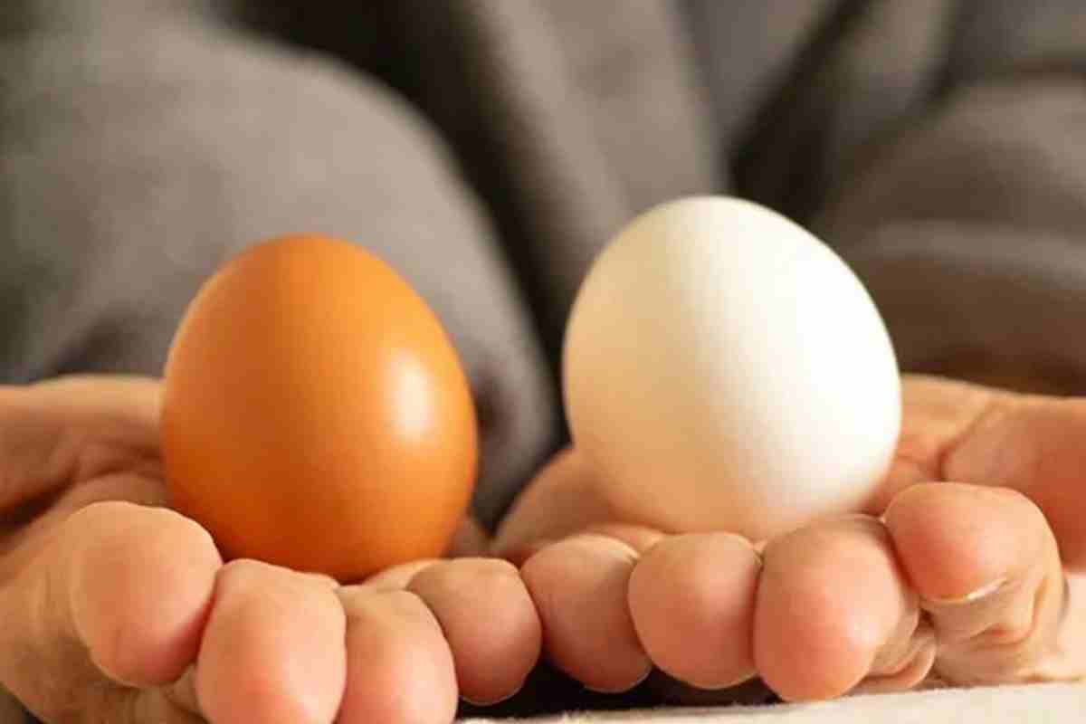 প্রতিদিন ডিম খাওয়ার ৫টি আশ্চর্য উপকার