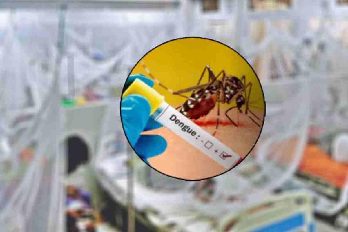 শীতে ডেঙ্গু ভয়াবহ আকার নিতে পারে: বিশেষজ্ঞদের হুঁশিয়ারি