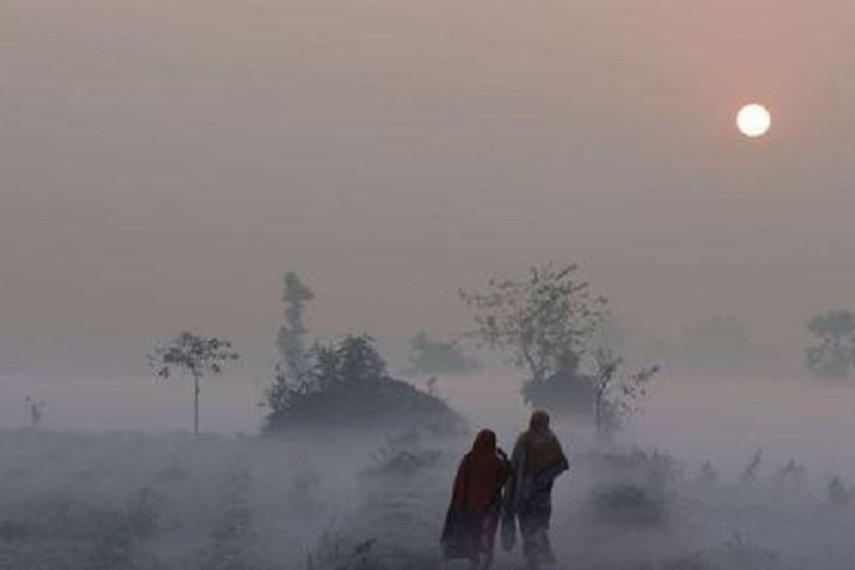 সারাদেশে কমতে পারে রাত-দিনের তাপমাত্রা