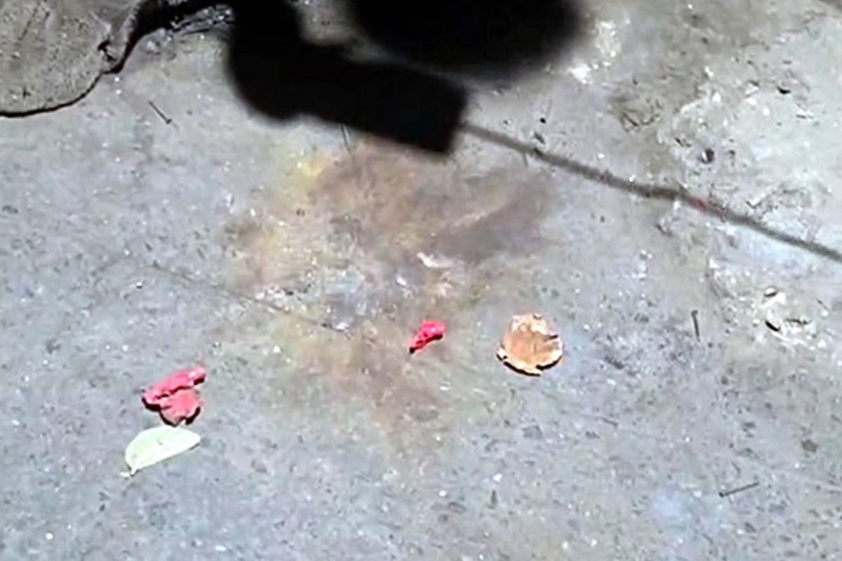 টিএসসিতে পরপর দুই ক’কটেল বিস্ফো’রণ, আহত ১